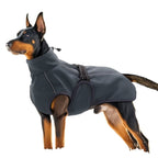 Dog wearing the black teddy-fleece winter coat on a white background