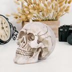 Vinsani Halloween Skull