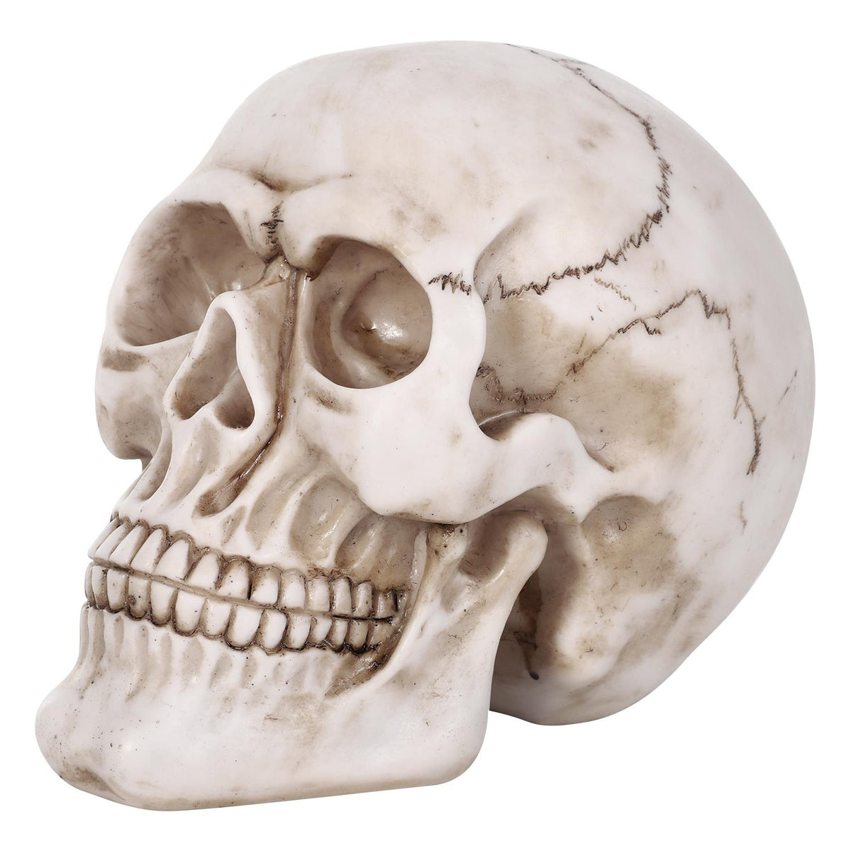 Vinsani Halloween Skull