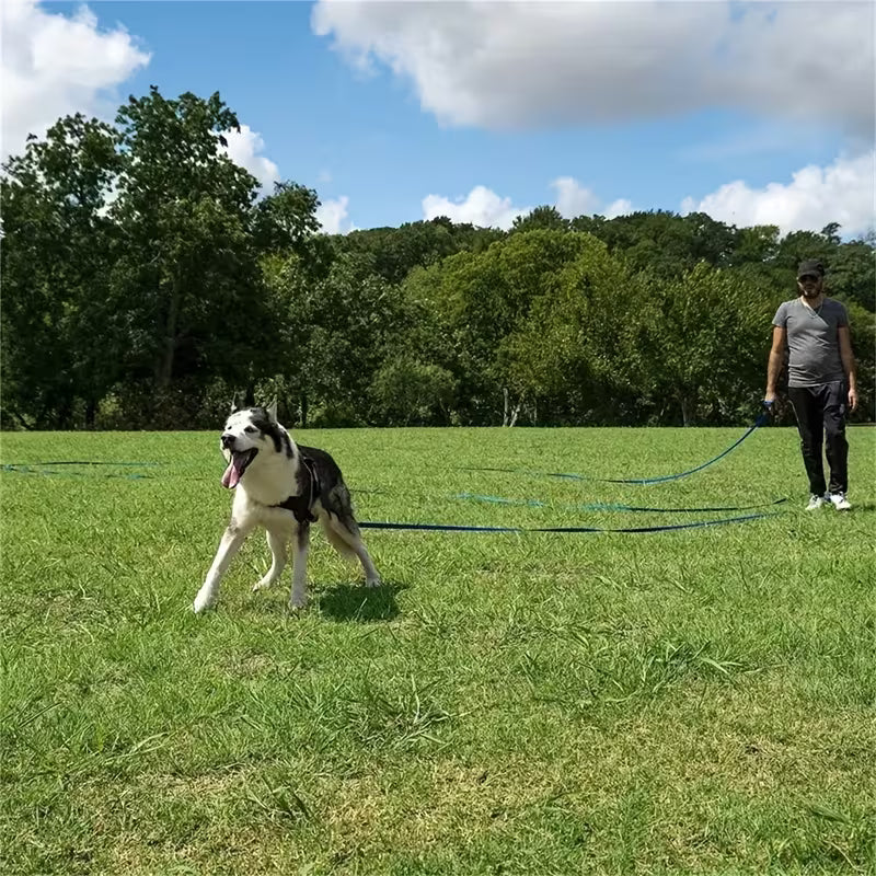 Adjustable Dog Training Leash – 3.05–9.14 Metres, Long Lead for Training, Walking & Outdoor Activities