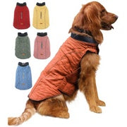 Golden retriever wearing the orange quilted dog winter coat