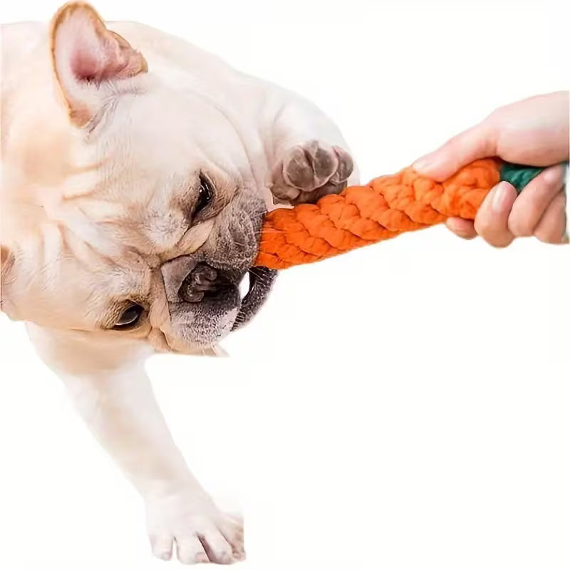 Interactive Carrot-Shaped Dog Toy with Tassel