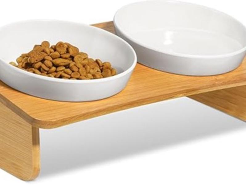 Raised tilted cat bowl set with bamboo stand
