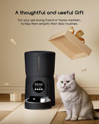 Automatic cat feeder 4L with timer – view 8