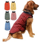 Golden retriever wearing the red quilted dog winter coat