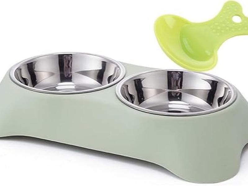 Green double dog bowl with stainless steel bowls
