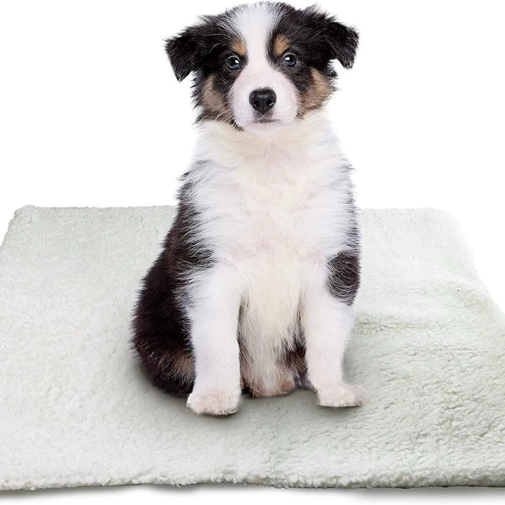 Self-Heating Pet Mat