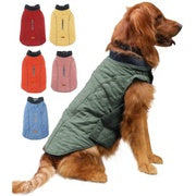 Golden retriever wearing the green quilted dog winter coat with colour options