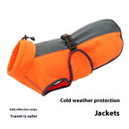 Orange dog winter coat with cold weather protection features