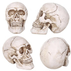 Vinsani Halloween Skull