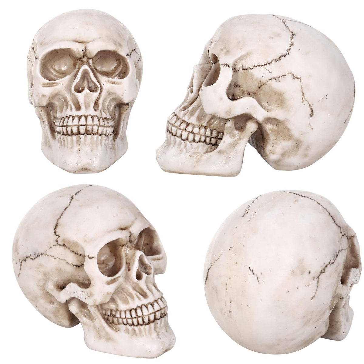 Vinsani Halloween Skull