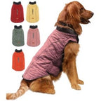 Golden retriever wearing the pink quilted dog winter coat