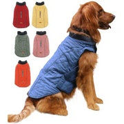 Golden retriever wearing the blue quilted dog winter coat