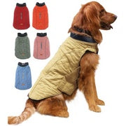 Golden retriever wearing the yellow quilted dog winter coat