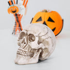 Vinsani Halloween Skull